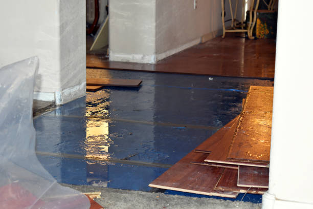 Professional Basement Flooding technician working in Mapleville, RI